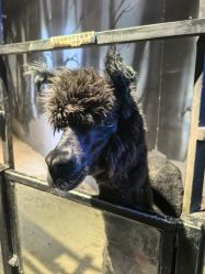 -酷嗒动物文化乐园(cutezoo西溪乐天城店)