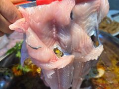 -青山青豆花·笑禅豆腐鱼(黄泥塝店)