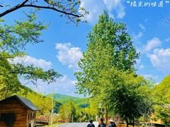 -参仙谷生态旅游度假区