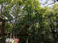 -WeLope紫金山探险公园