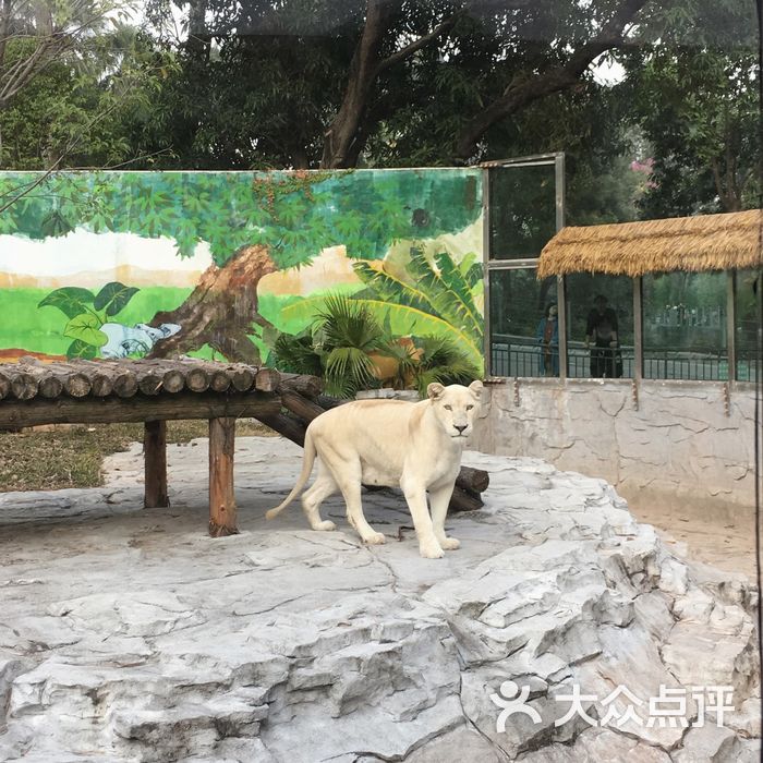 广州动物园