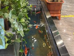 -洞庭家宴·头牌甲鱼(广渠门店)