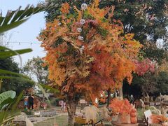 -HERRE·FARM 赫尔露营农场·团建聚会包场