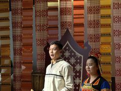 -西双版纳原始森林公园