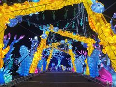 -第34届青岛国际啤酒节