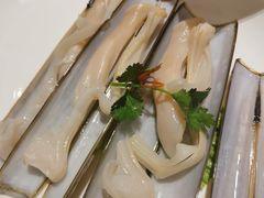 苏兰格圣子-协成海鲜火锅(情侣路店)