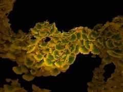 -北京网络广播电视台