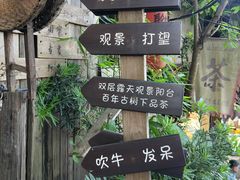 -磁器口古镇