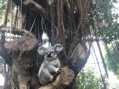 -北京植物园-展览温室