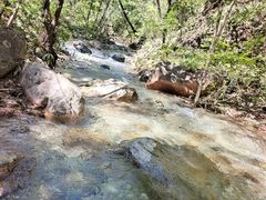 -玉渡山自然风景区