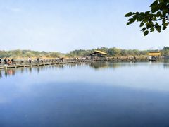 -溱湖国家湿地公园