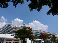 -天后宫民俗文化街