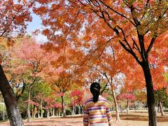 -白塘生态植物园