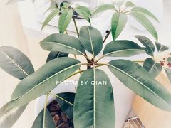 -Onirii Coffee(长乐路店)