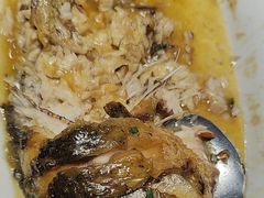 -金狮麟·新豫菜(金码大厦店)