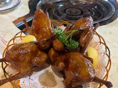-一煲鸽