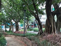 -星巴克(深圳侨城街店)