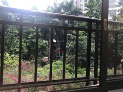 -岭南海晏楼(滨江东总店)