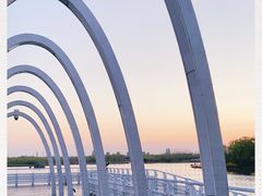 -大兴滨河森林公园