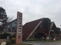 -铁山坪森林公园