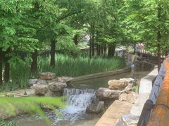 -白水寺森林公园