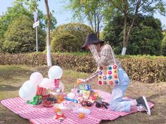 -铁山坪森林公园