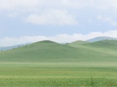 -乌兰布统草原