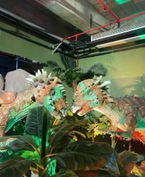 -恐龙探索乐园(磁器口店)