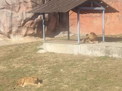 -无锡动物园·太湖欢乐园