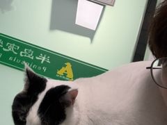 -半岛宠物医院24小时(科华中路店)