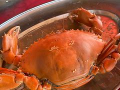 -胜海大排档·海鲜·黄鳝饭(十年老店)