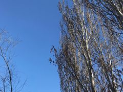 -蟒山（北京）会议中心