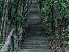 -梧桐山风景名胜区