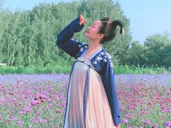 -北京东方普罗旺斯薰衣草庄园