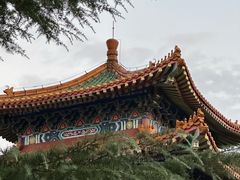 -龙口南山旅游景区