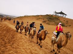 -黄沙古渡原生态旅游区