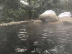 -天目湖涵田半山温泉