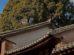 -巍山古城