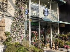 -FEI FEI FLOWER鲜花店·气球派对·宝宝宴布置(虹口德必运动Loft店)