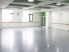 -西安小天鹅艺术团(金花路校区)