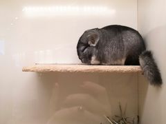 -龙猫仔乐园(惠福东路店)