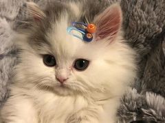 -足易轩足浴(庐山路旗舰店)