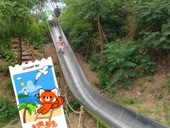 -欢乐松鼠谷