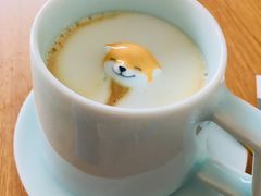 -柴犬小屋·柴餐厅·狗咖食堂(金鼎广场店)