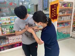 -瑞鹏宠物医院·微创内窥镜·骨外科·牙科(翠竹分院)