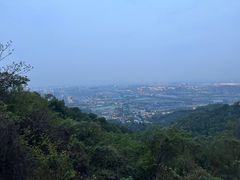 -杭州半山国家森林公园