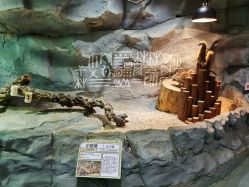 -Zoolung Zoolung动物主题公园(海信广场店)