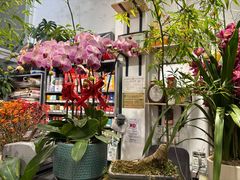 -FEI FEI FLOWER鲜花店·气球派对·宝宝宴布置(虹口德必运动Loft店)