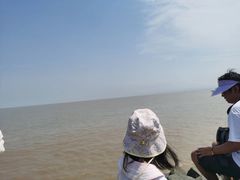 -南汇嘴观海公园