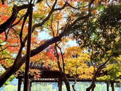 -北山街历史文化街区